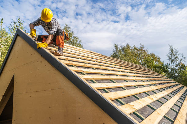 Best Roof Gutter Cleaning  in River Hills, WI